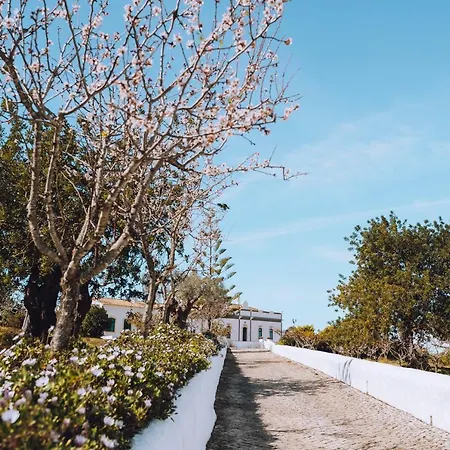Casa de Férias Cerca Velha - *